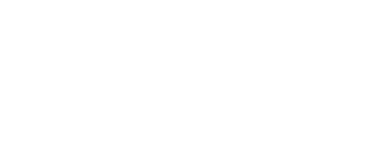 Swintt